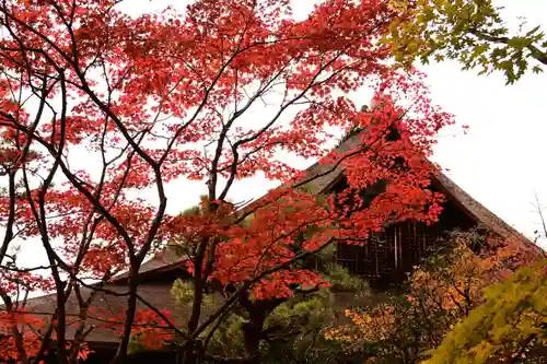 天授庵(京都府)