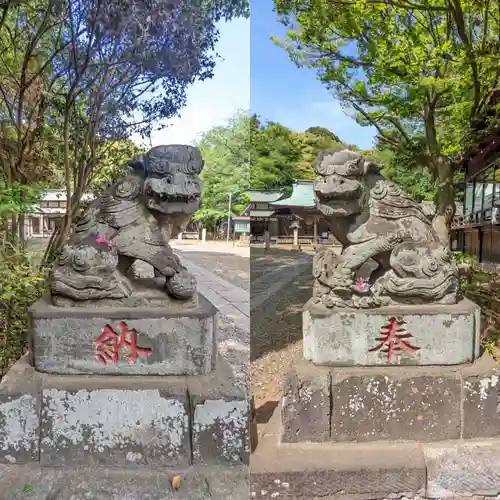 畑子安神社の狛犬