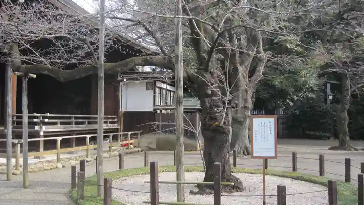 靖國神社(東京都)