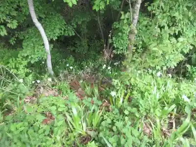 秩父大神社(埼玉県)