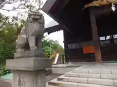 龍宮神社の狛犬