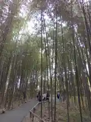 野宮神社(京都府)