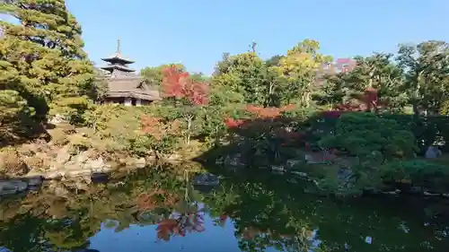 龍安寺の庭園