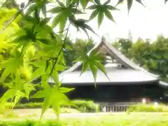 陸奥国分寺薬師堂の自然