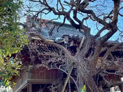 玉蔵院(埼玉県)