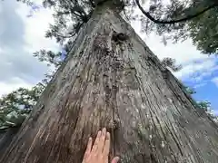 伊勢神宮外宮（豊受大神宮）(三重県)