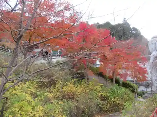 南法華寺（壷阪寺）(奈良県)