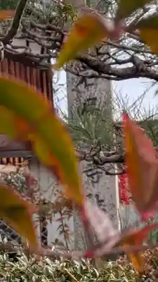 石居廃寺跡(滋賀県)