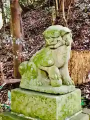 阿夫利神社の狛犬