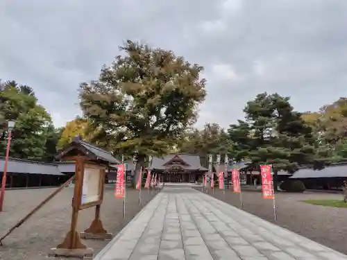 北海道護國神社の七五三参