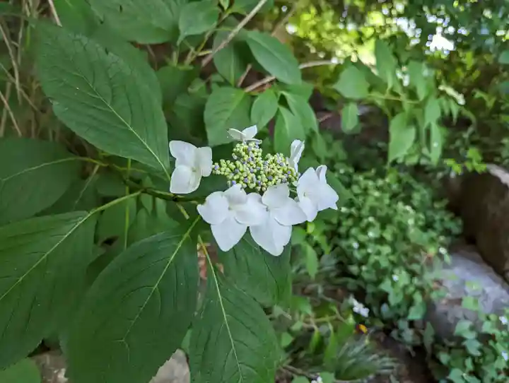智積院(京都府)