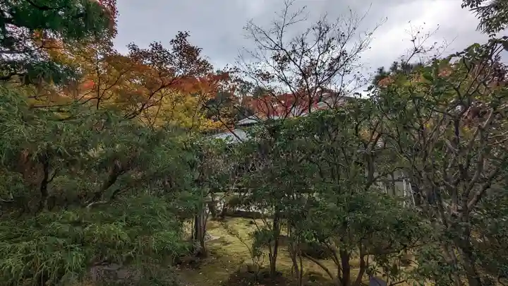 霊源寺(京都府)