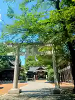 熊野神社の鳥居
