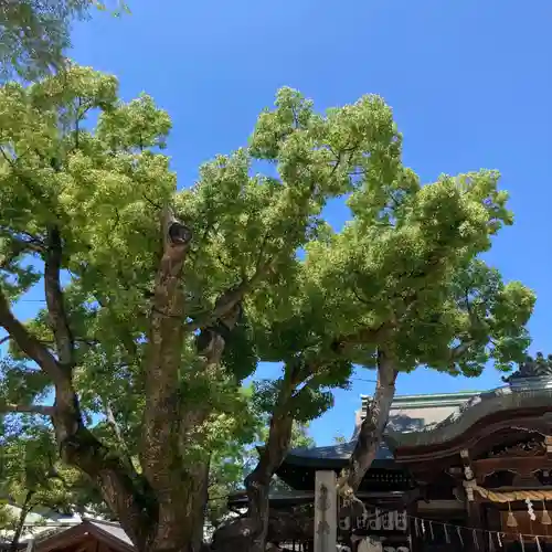 石切劔箭神社の自然