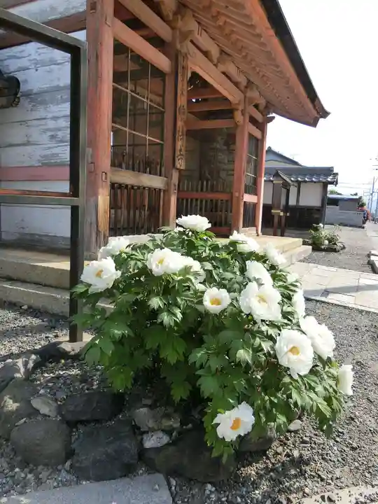 総持寺の山門・神門