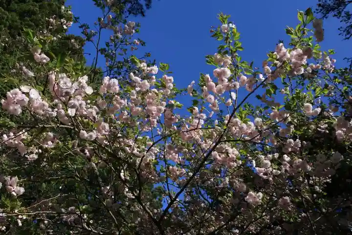 御札神社の自然