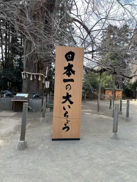 水戸八幡宮(茨城県)