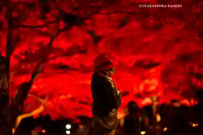 大山寺(神奈川県)