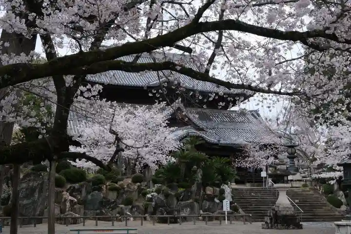 粉河寺の本殿・本堂