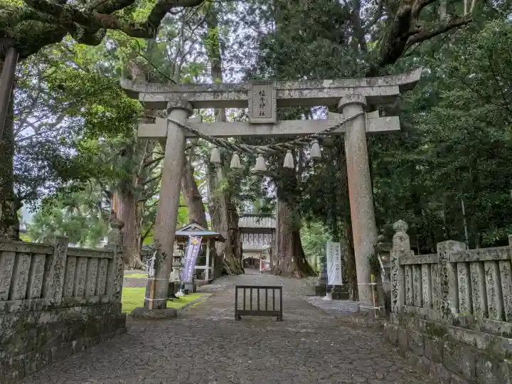 蛭子神社の{uncategorized: "未分類", other: "その他", undefined: "問題あり", building: "その他建物", grave: "お墓", sacred_gate: "鳥居", guardian: "狛犬", statue: "像", buddha: "仏像", history: "歴史", nature: "自然", garden: "庭園", animal: "動物", pagoda: "塔", temizu: "手水舎", mountain_gate: "山門・神門", sanctuary: "本殿・本堂", subordinate: "末社・摂社", art: "芸術", scenery: "景色", jizo: "地蔵", ema: "絵馬", goshuin: "御朱印", omikuji: "おみくじ", items: "授与品その他", amulet: "お守り", goshuincho: "御朱印帳", eats: "食事", festival: "お祭り", votive_dance: "神楽", shichigosan: "七五三参", wedding: "結婚式", experience: "体験その他", initially: "初詣", around: "周辺", anti_infection: "感染症対策"}