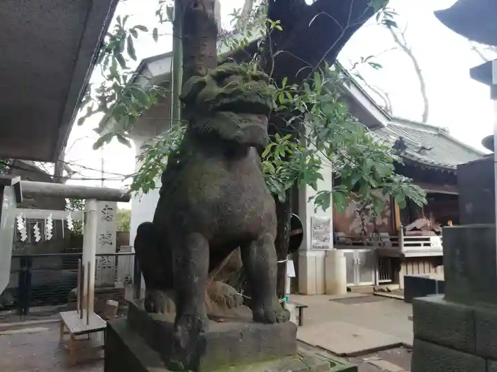 戸越八幡神社の狛犬