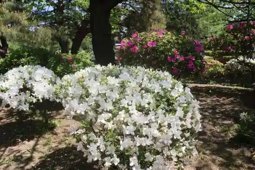 開成山大神宮の庭園