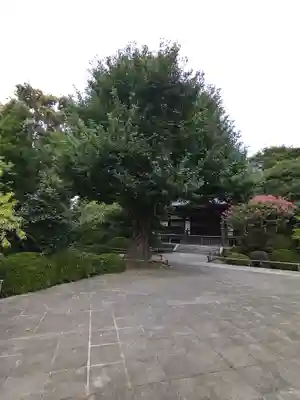 高円寺のその他建物