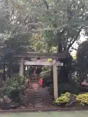 杵築大社の鳥居