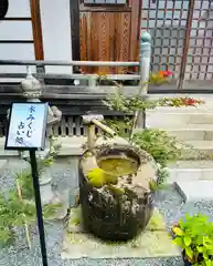 總社 和田八幡宮(福井県)