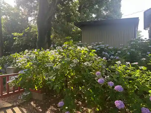 仙波東照宮(埼玉県)