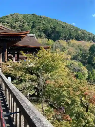 清水寺の自然