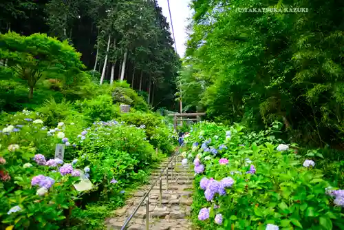 太平山神社(栃木県)