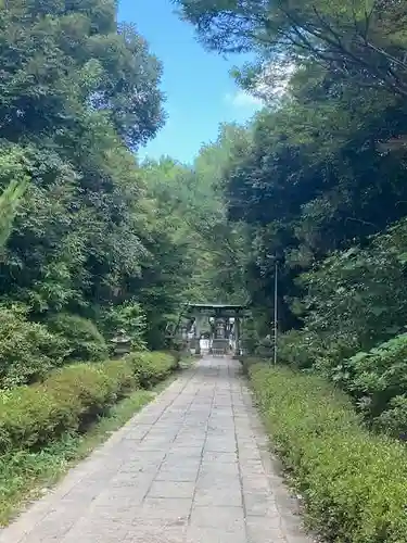 春日部八幡神社(埼玉県)