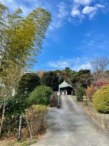 専念寺(神奈川県)