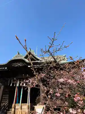 桜神宮の本殿・本堂