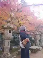 佛通寺(広島県)