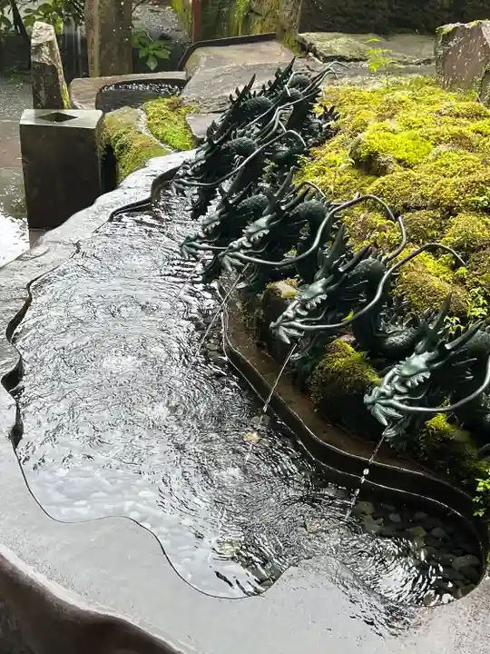 九頭龍神社新宮(神奈川県)