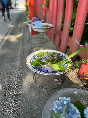 川越八幡宮(埼玉県)