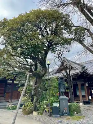 永稱寺の{uncategorized: "未分類", other: "その他", undefined: "問題あり", building: "その他建物", grave: "お墓", sacred_gate: "鳥居", guardian: "狛犬", statue: "像", buddha: "仏像", history: "歴史", nature: "自然", garden: "庭園", animal: "動物", pagoda: "塔", temizu: "手水舎", mountain_gate: "山門・神門", sanctuary: "本殿・本堂", subordinate: "末社・摂社", art: "芸術", scenery: "景色", jizo: "地蔵", ema: "絵馬", goshuin: "御朱印", omikuji: "おみくじ", items: "授与品その他", amulet: "お守り", goshuincho: "御朱印帳", eats: "食事", festival: "お祭り", votive_dance: "神楽", shichigosan: "七五三参", wedding: "結婚式", experience: "体験その他", initially: "初詣", around: "周辺", anti_infection: "感染症対策"}