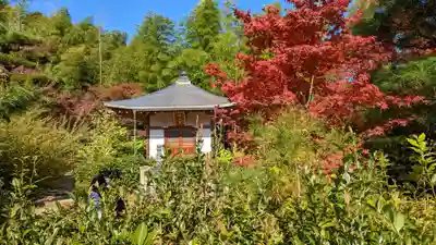 常寂光寺(京都府)