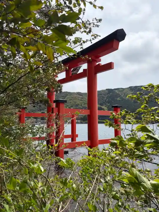 箱根神社の{uncategorized: "未分類", other: "その他", undefined: "問題あり", building: "その他建物", grave: "お墓", sacred_gate: "鳥居", guardian: "狛犬", statue: "像", buddha: "仏像", history: "歴史", nature: "自然", garden: "庭園", animal: "動物", pagoda: "塔", temizu: "手水舎", mountain_gate: "山門・神門", sanctuary: "本殿・本堂", subordinate: "末社・摂社", art: "芸術", scenery: "景色", jizo: "地蔵", ema: "絵馬", goshuin: "御朱印", omikuji: "おみくじ", items: "授与品その他", amulet: "お守り", goshuincho: "御朱印帳", eats: "食事", festival: "お祭り", votive_dance: "神楽", shichigosan: "七五三参", wedding: "結婚式", experience: "体験その他", initially: "初詣", around: "周辺", anti_infection: "感染症対策"}