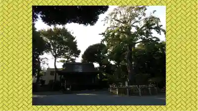 七社神社(東京都)