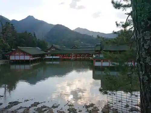 厳島神社の景色