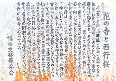 西行桜について