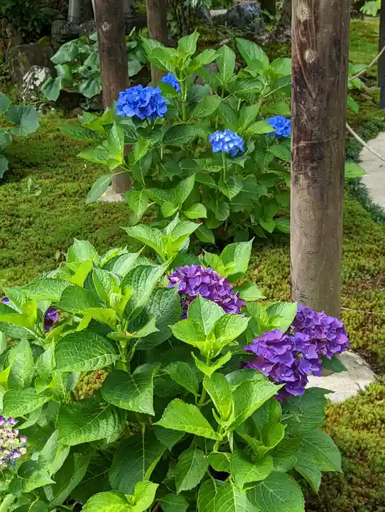 一條殿 新善光寺(京都府)