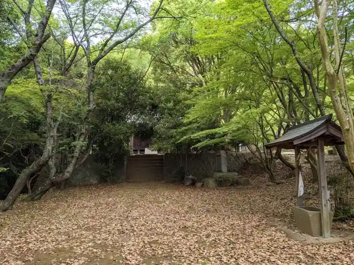 金崎神社の手水舎