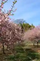 清河寺(埼玉県)