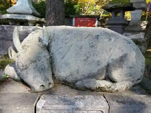 円蔵寺の狛犬