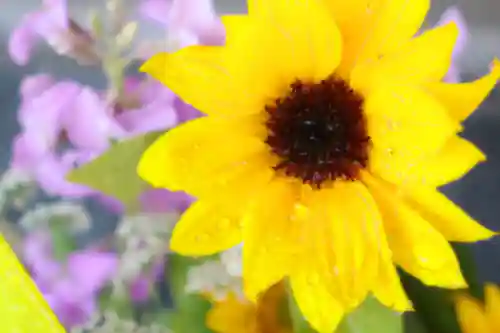 三津厳島神社の手水舎