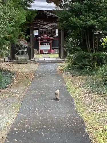 大宮大神(茨城県)
